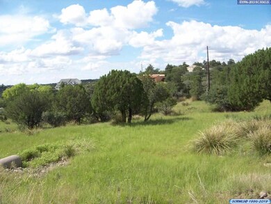 xxx Rosewood Cir, Silver City, NM 88061 - photo 2