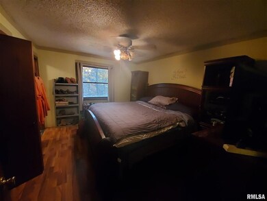 9212 N 1000th Rd, Effingham, IL 62401 - photo 5