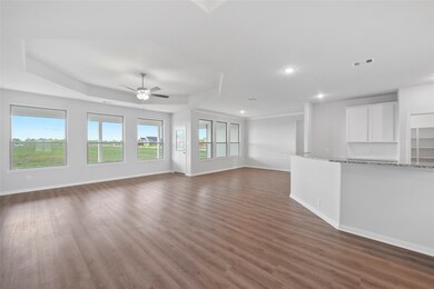 11002 Pecan Pie Dr, Needville, TX 77461 - photo 6