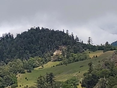 3790 Thomas Rd, Miranda, CA 95553 - photo 5