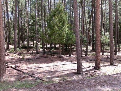 Lot 454 Maxwell Way, Angel Fire, NM 87710 - photo 5