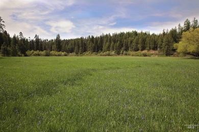 1021 Claypit Rd, Troy, ID 83871 - photo 7