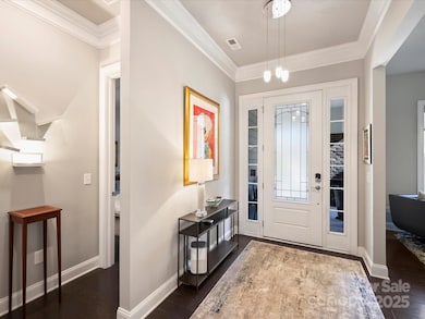 912 Raffaelo View, Mount Holly, NC 28120 - photo 5