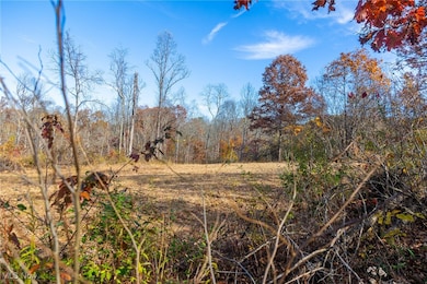 0 Hambel Rd, Union Township, OH 43758 - photo 7