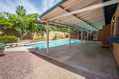 Backyard & back-patio