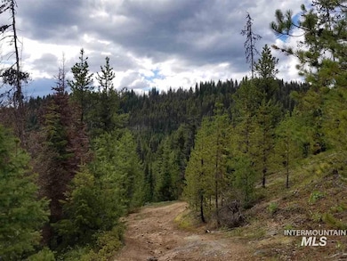 TBD American Eagle Properties Survey 1810 & Survey 188, Elk City, ID 83525 - photo 6