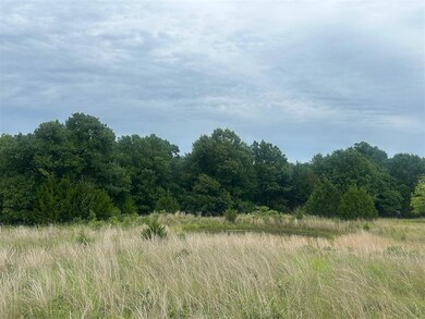 View of nature