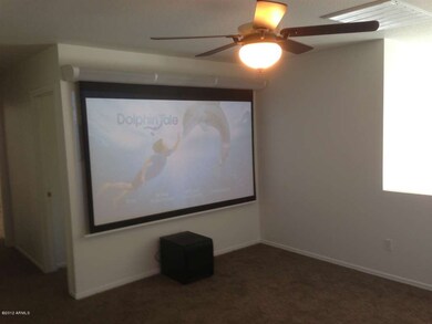 Theater Screen