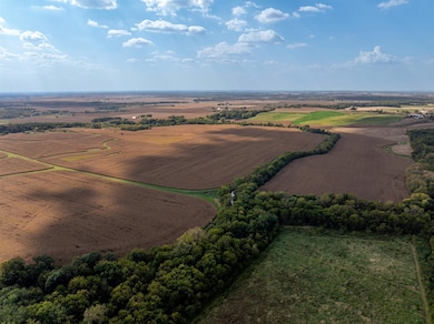 0 Capp Rd, Clyde Township, IL 61270 - photo 7