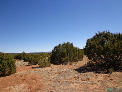 Tr 2A Camino Del Sol Rd, Bernal, NM 87569 - photo 5