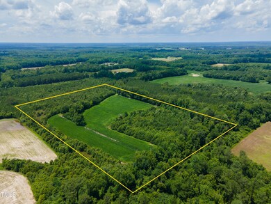 MODIFIED-2025-06-18-DJI_0194