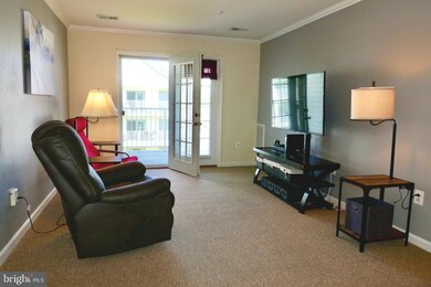 2013 Rudy Serra Dr unit 2C, Sykesville, MD 21784 - photo 6