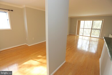 10300 Westlake Dr, Bethesda, MD 20817 - photo 7