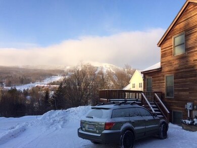 9 Tamarack Ln, Dover, VT 05356 - photo 4