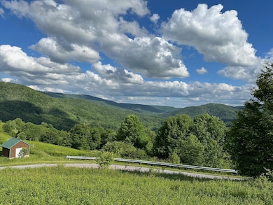 567 Headwaters Rd, Slatyfork, WV 26291 - photo 3