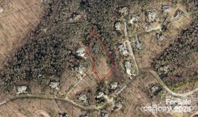 000 Roxworth Ct, Flat Rock, NC 28731 - photo 4