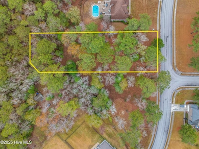 115 Pine Bluff Rd, Swansboro, NC 28584 - photo 5