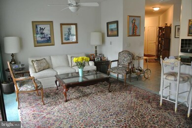 8045 Newell St unit 407, Silver Spring, MD 20910 - photo 5