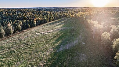 Tract 3 Pallet Mill Rd, Greenville, KY 42345 - photo 5