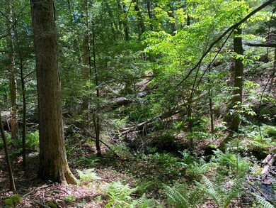 0 Mercy Anderson Rd unit 72987869, Shelburne, MA 01370 - photo 2