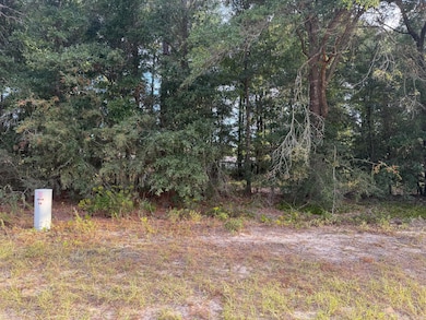 TBD Highway 90, Defuniak Springs, FL 32433 - photo 3