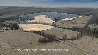 1669 Sylvis Rd, Cherry Tree, PA 15724 - photo 2