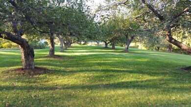 29 Fox Run Rd, Bedford, NH 03110 - photo 4