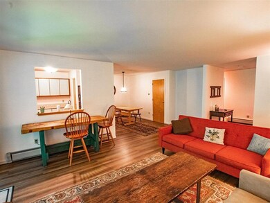 11 Winding Brook Dr unit 11, South Burlington, VT 05403 - photo 5