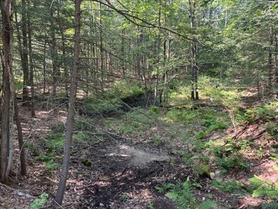 0 Marden Rd, Wilton, NH 03086 - photo 4
