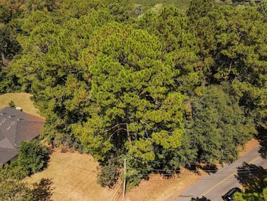 115 Owl Hollow Rd unit 12, Thomasville, GA 31757 - photo 5