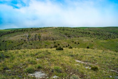 TBD State Line 40 Acres, Manhattan, MT 59741 - photo 6