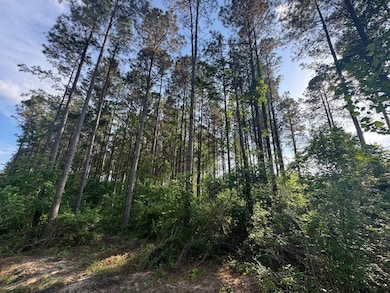 00 Sylvester Hudson Rd, Louisville, MS 39339 - photo 3