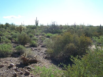 LAND VIEW 2