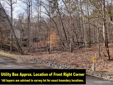 Lot 97 Melrose Ct unit 97, Lake Lure, NC 28746 - photo 4