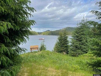 0 Legal Address Only unit Lot 14A Fairbanks Su, Thorne Bay, AK 99919 - photo 3