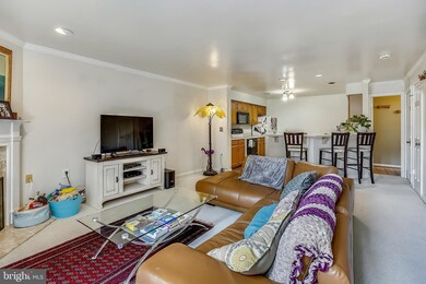 953 S Scott St unit 1, Arlington, VA 22204 - photo 7