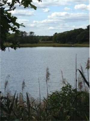 39 Rosepoint Ave, West Wareham, MA 02576 - photo 2