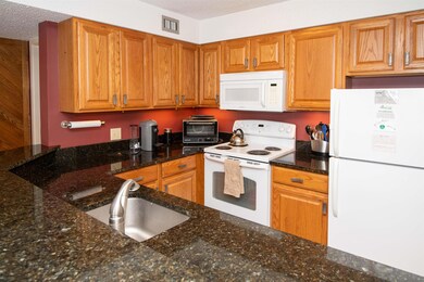 350 Mountain Rd unit 207, Ludlow, VT 05149 - photo 7