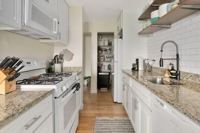 66 St James St unit 208, Boston, MA 02119 - photo 6