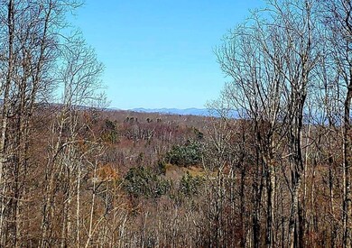 Eagle's Nest, LLC