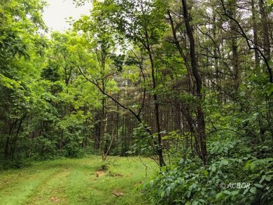 East Branch Rd