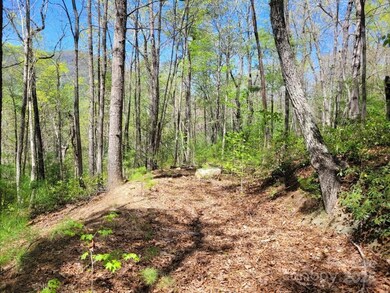 Lot 21 Little Fox Run, North Cove, NC 28752 - photo 7
