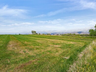 1812 M 3 4 Rd, Fruita, CO 81521 - photo 7