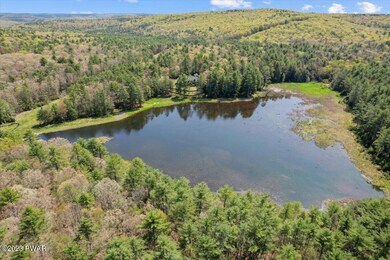 490 Pennsylvania 590, Lackawaxen, PA 18435 - photo 4