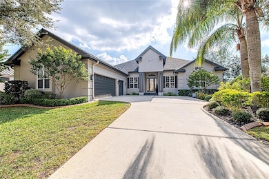 3716 Janus Way, Palm Harbor, FL 34685 - photo 4