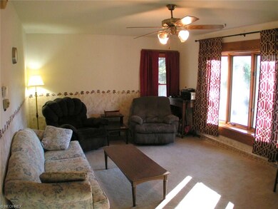 104 Evergreen Dr, Lodi, OH 44254 - photo 4