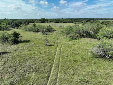 0 County Road 424, Waelder, TX 78959 - photo 5