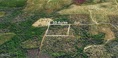 0 Stallion Ln, Marianna, FL 32448 - photo 6