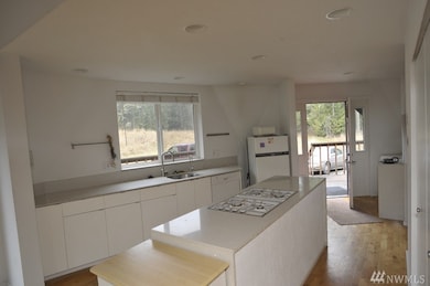 17244 Jonas Hill Ln SE, Rainier, WA 98576 - photo 2