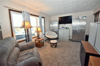 Living room with new carpet.